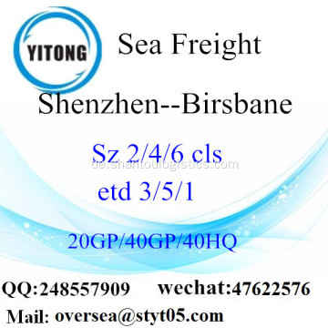 Shenzhen Port Seefracht Versand nach Brisbane